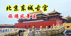 肥胖女人操逼视频中国北京-东城古宫旅游风景区